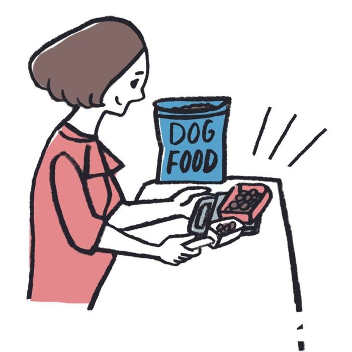 イラスト/オガワナホ