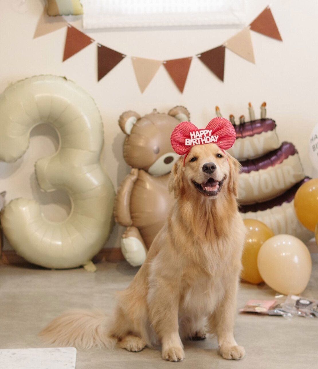 3才になったうにちゃん。