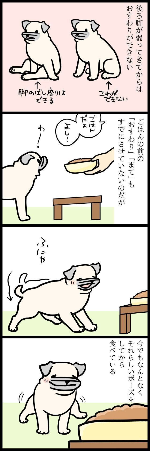 【連載】パグ犬・めー
