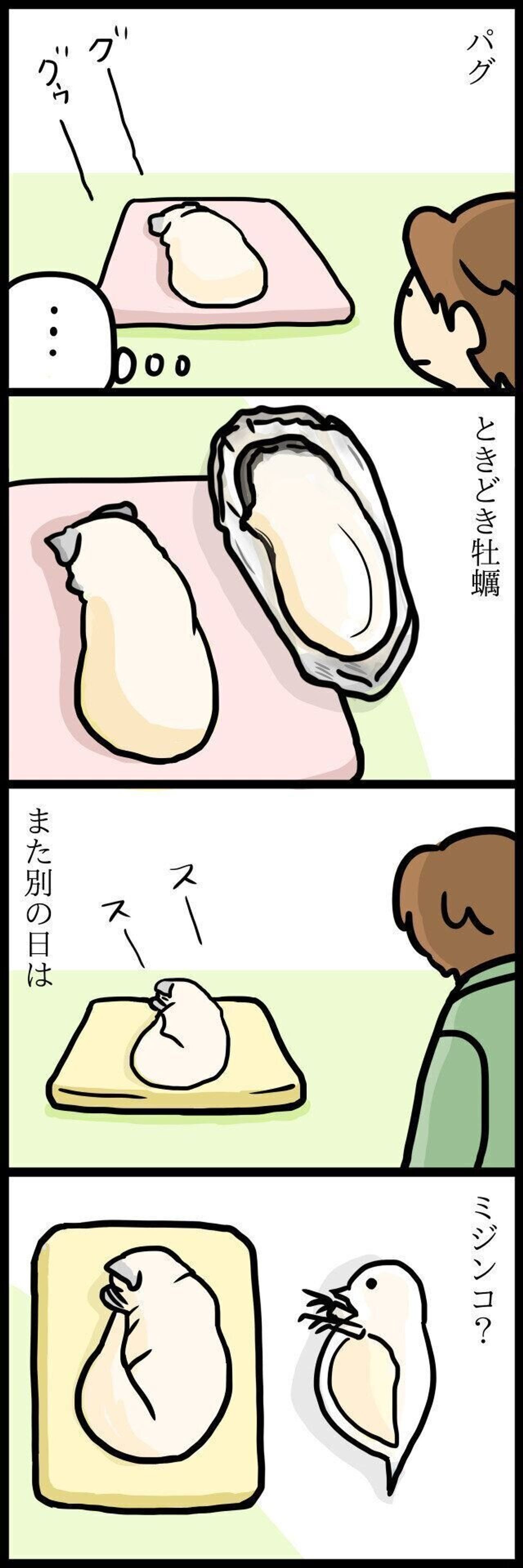 パグ犬めー 寝姿が何かに見えてきた 連載 パグ犬 めー Vol 87 いぬのきもちweb Magazine パグ犬めー 寝姿が何かに見えてきた 連載 パグ犬 めー Vol 87 いぬのきもちweb Magazine