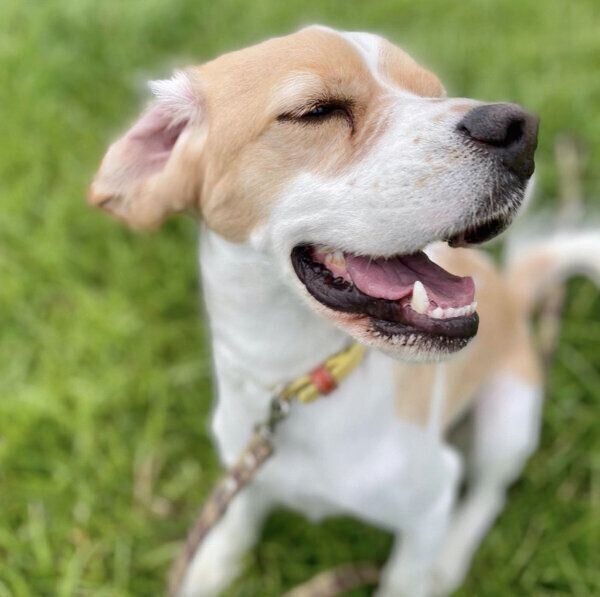 楽しそうなウィルくん