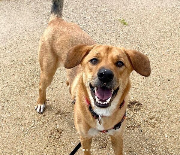 笑顔を見せる海くん