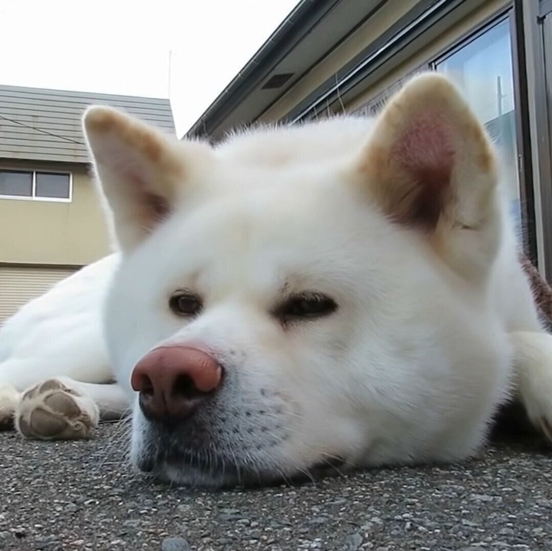 くつろいでいるゆうき君