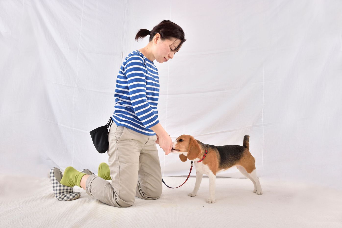 犬と目を合わせるだけじゃない アイコンタクト のすごいメリット いぬのきもちweb Magazine 犬と目を合わせるだけじゃない アイコンタクト のすごいメリット いぬのきもちweb Magazine