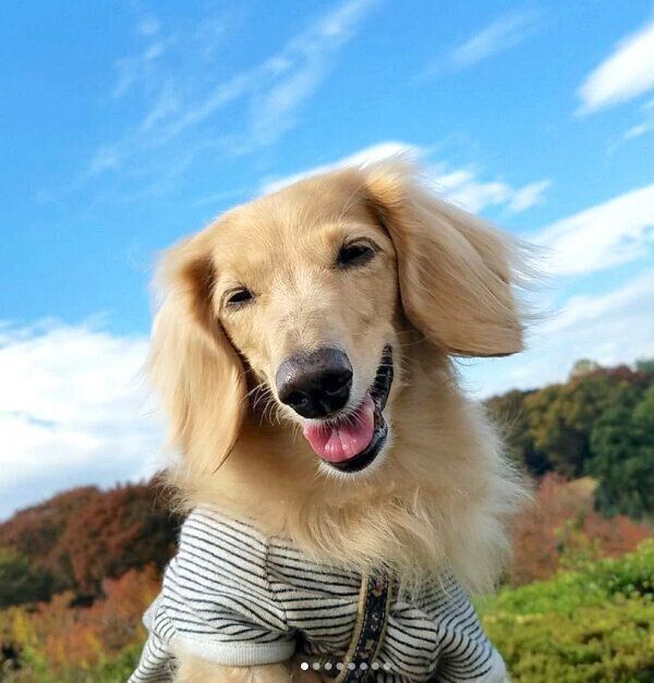 笑顔の伶音ちゃん