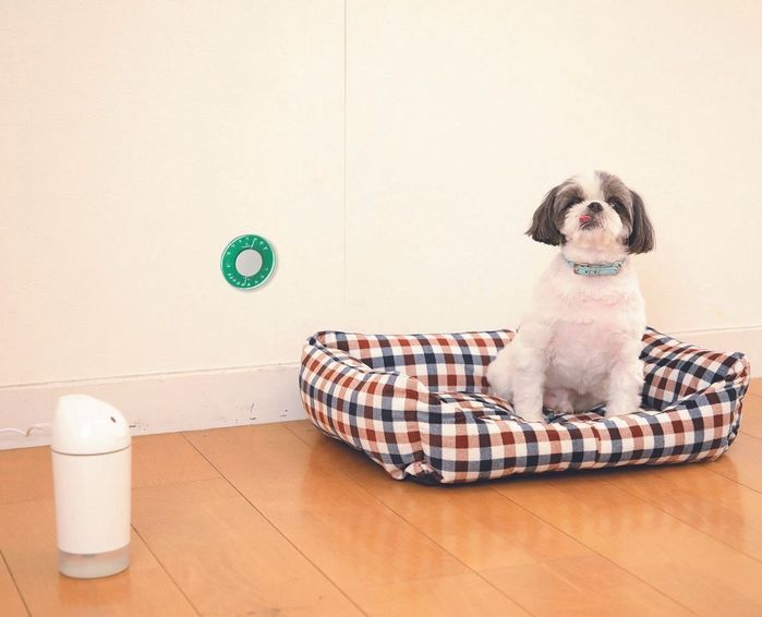 撮影/尾﨑たまき