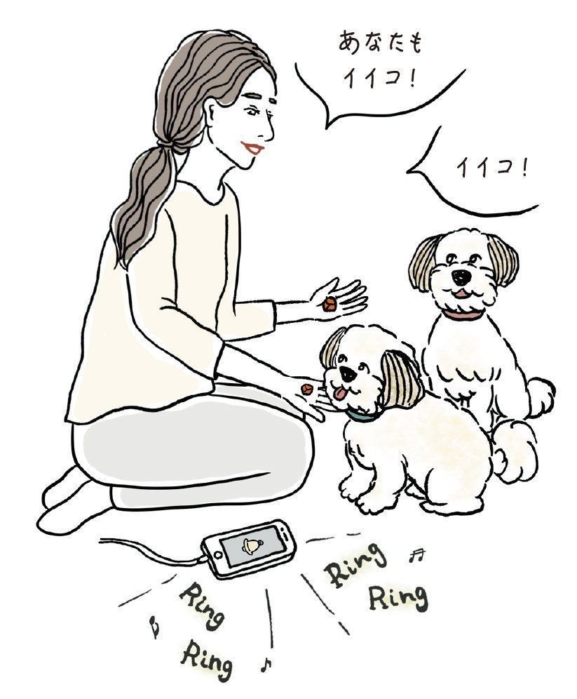 新しいチャイム音に替えるなら、新しい音を聞かせつつ全頭におやつを与えて。繰り返すと「新しい音＝おやつの合図」と覚えるはず。確実に覚えてから新しい音に切り替えます（イラスト／iina）