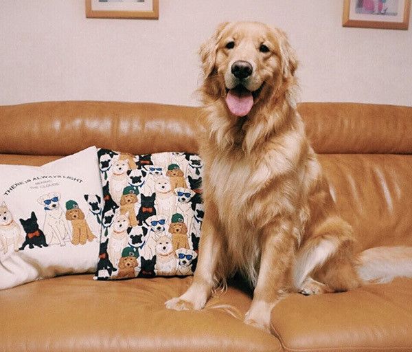 微笑むゴールデン・レトリーバー