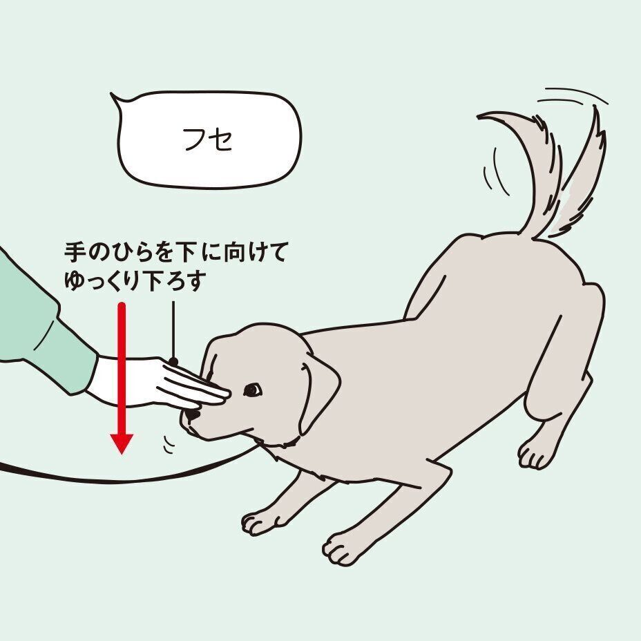 イラスト／二階堂ちはる