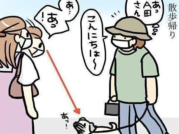 【連載】パグ犬・めー vol.105