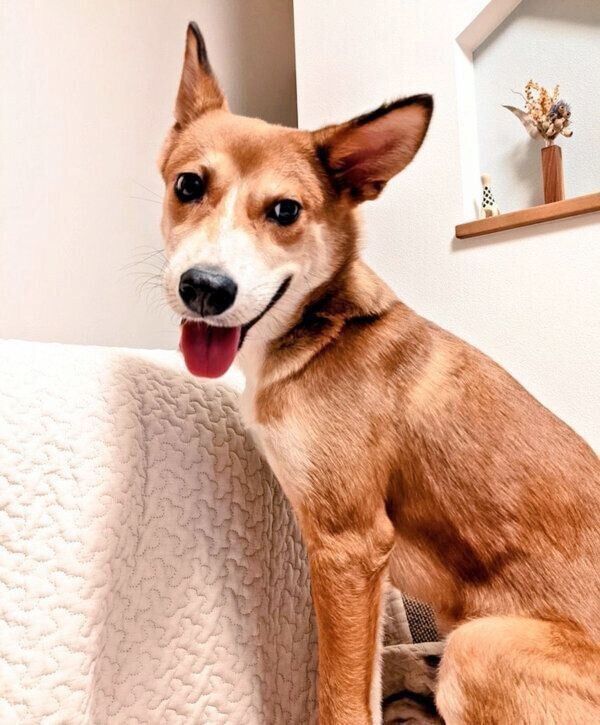 笑顔のカンタくん