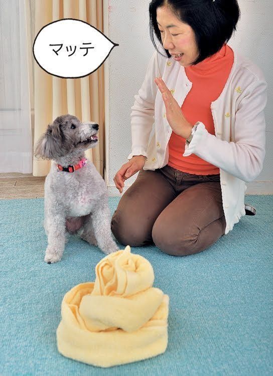 ぐるぐるタオルでお宝さがし