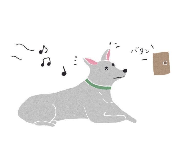 耳の筋肉が発達しているため自由自在に動く