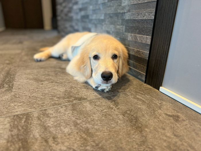 別の日 大きくなってきたロキちゃん