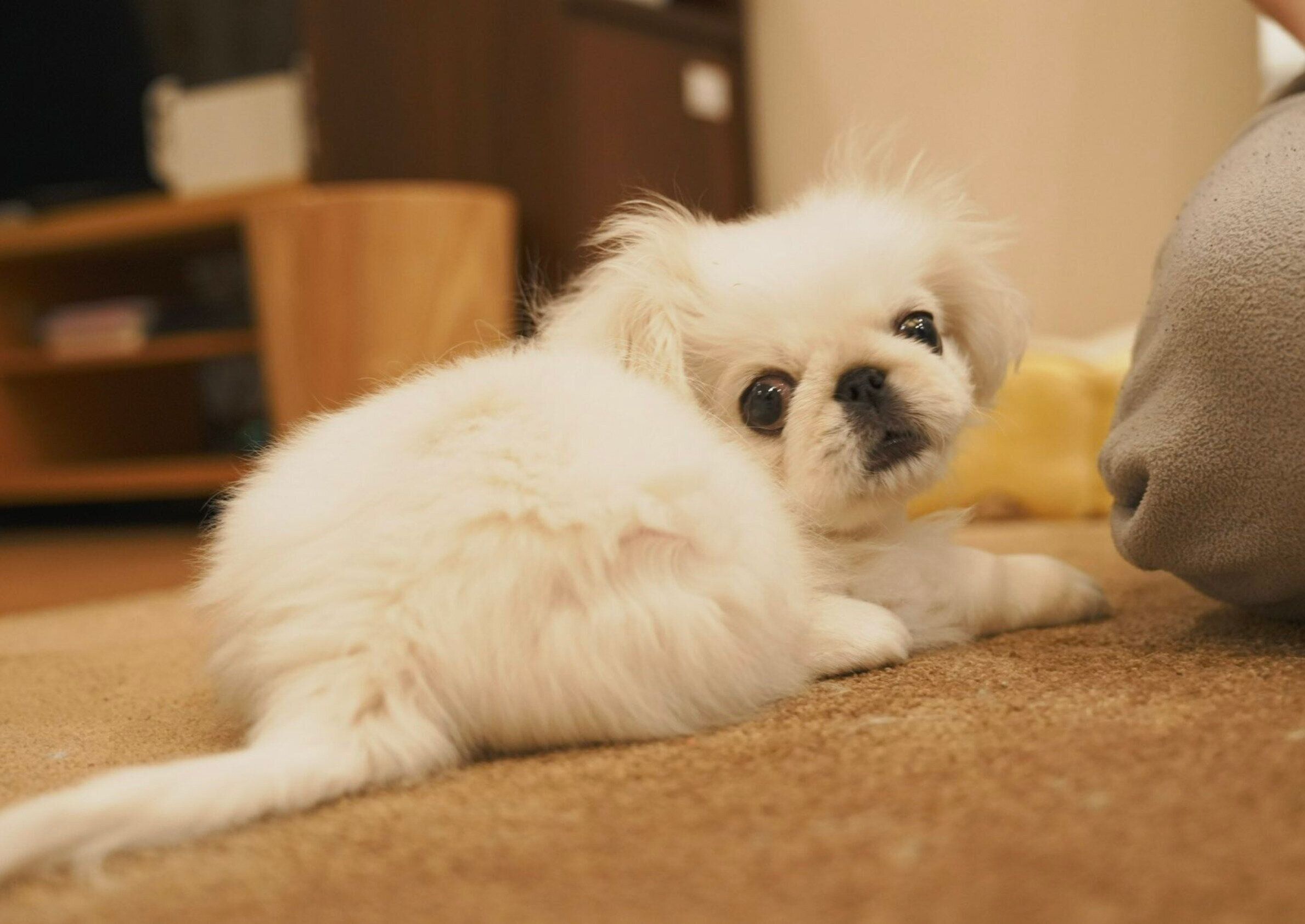 見つめるぬん坊くん