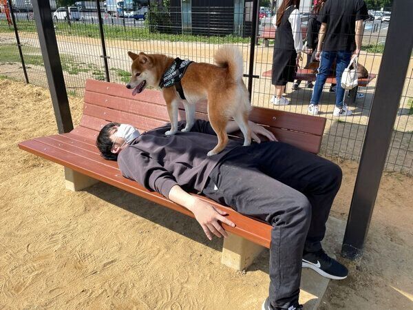 パパさんの上に乗るいそべくん