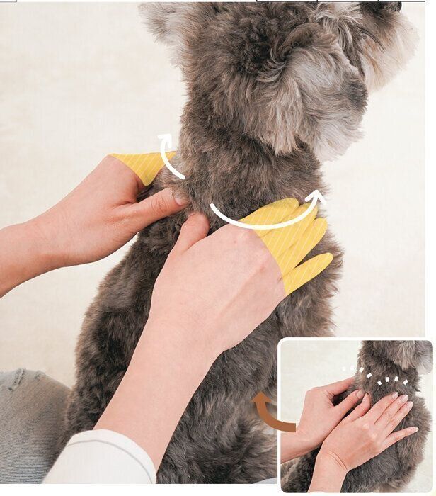 肩井を刺激する