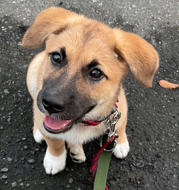 笑顔のぺこちゃん