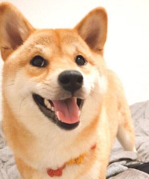 笑顔のタッちゃん