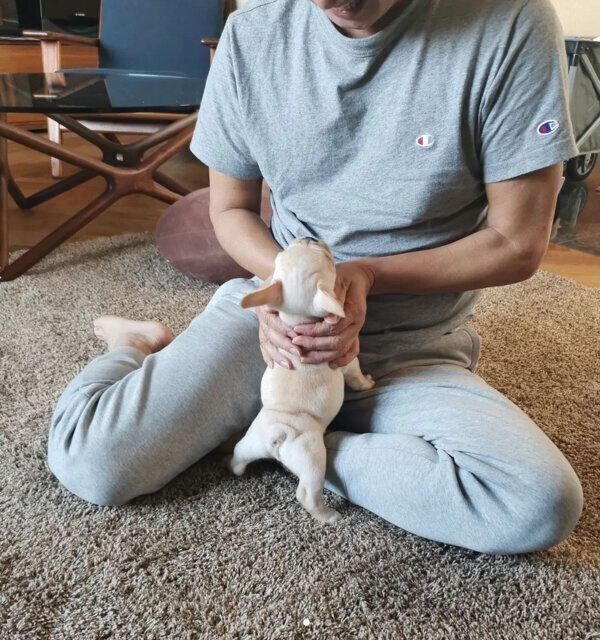 パパさんを遊びに誘う桜丸くん