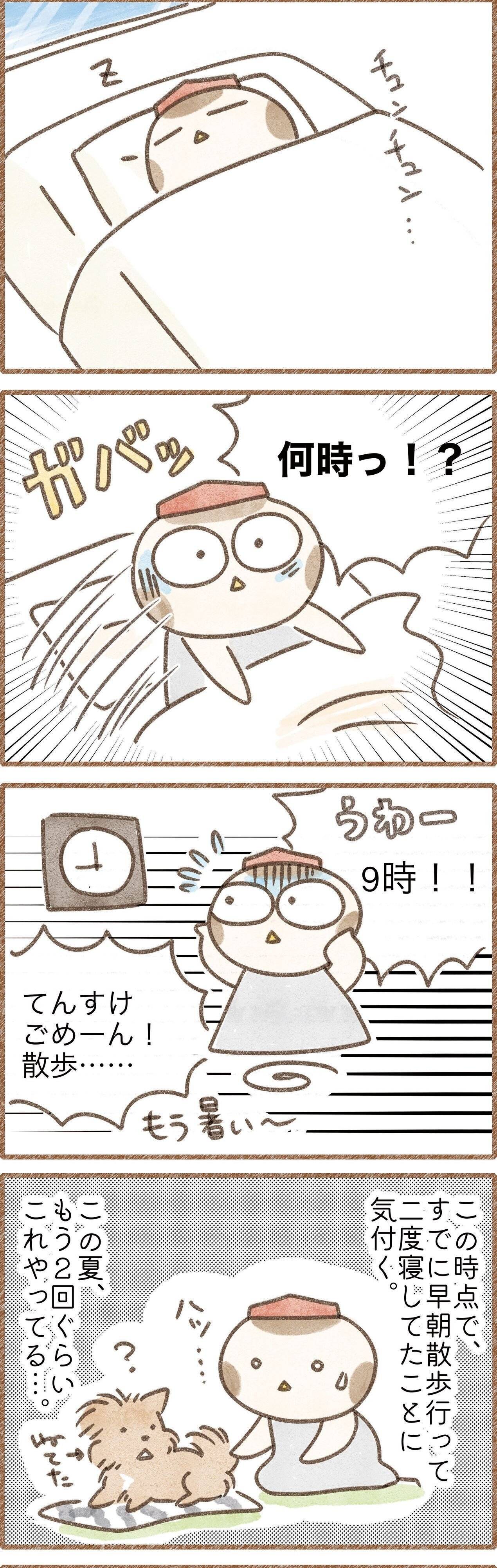 二度寝を寝坊と勘違いする飼い主の漫画