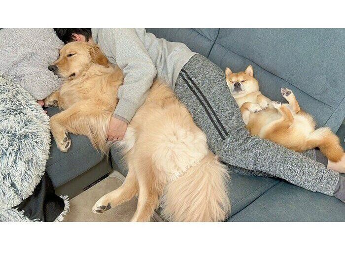 パパさんにくっついて眠るうにくん、おからちゃん