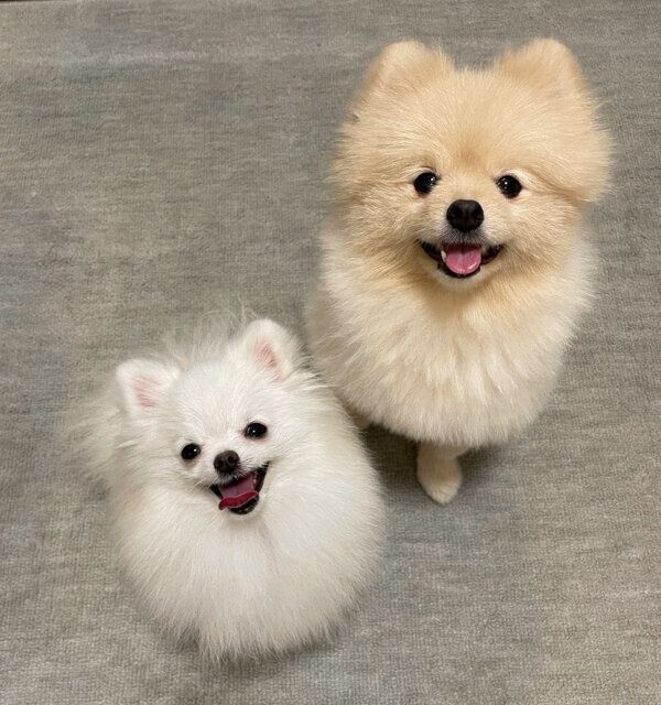 笑顔が可愛いころすけくんとぺこちゃん