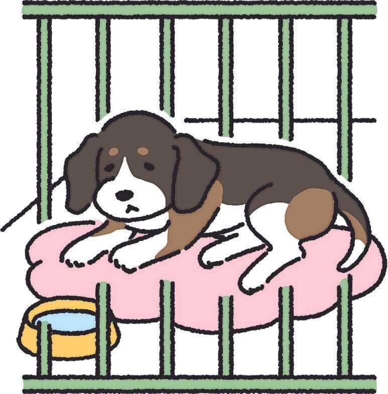 イラスト／HaradaRica