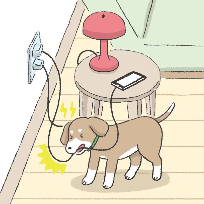 イラスト／徳丸ゆう