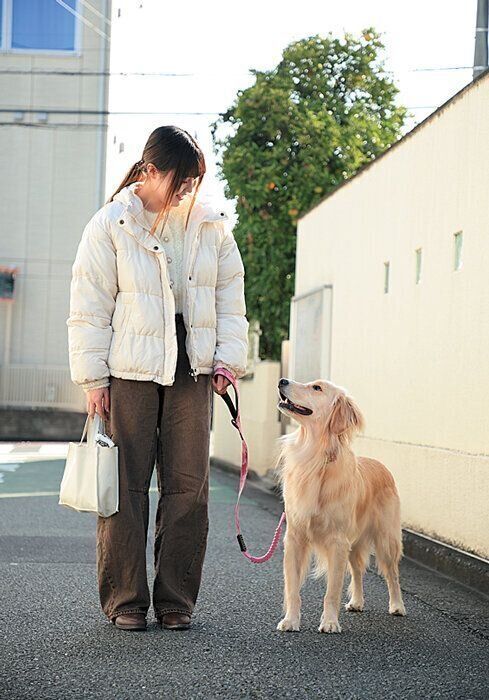 横に並んで歩く犬と飼い主