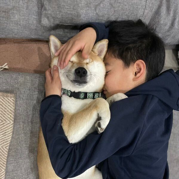 柴犬の十和くんと息子さん