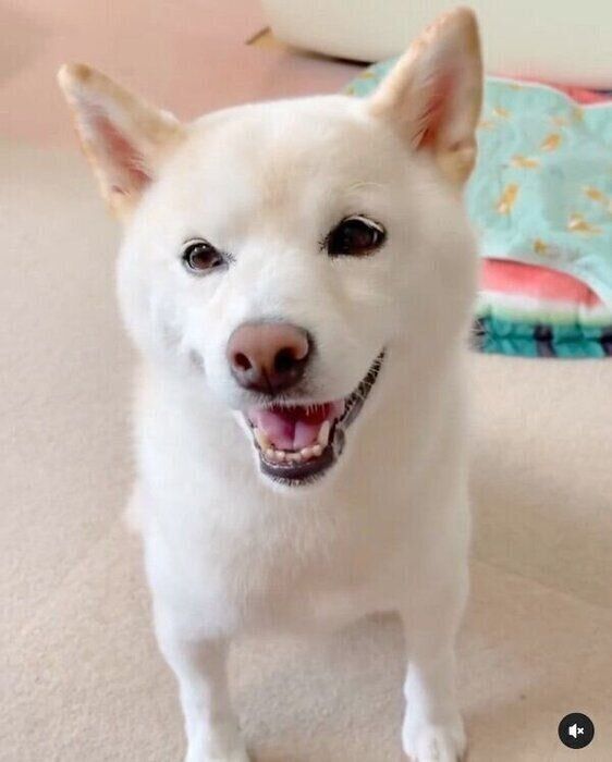 笑顔のココちゃん