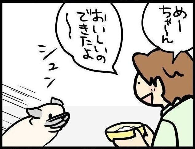 【連載】パグ犬めー