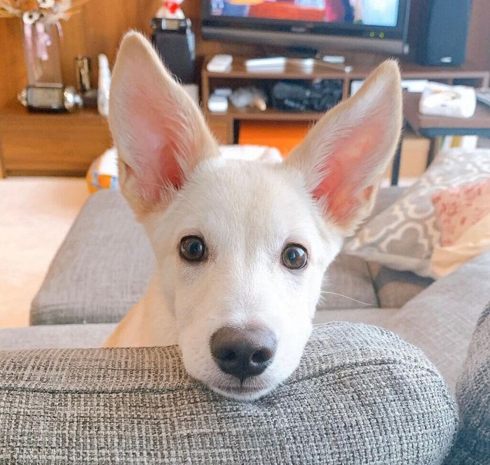 生後5カ月のころに撮影したレオンくん