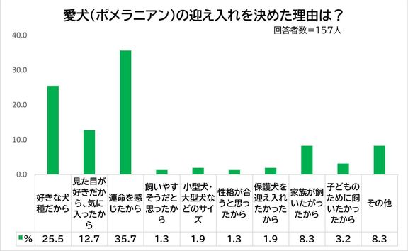 Q.  ポメラニアンの迎え入れを決めた理由は?