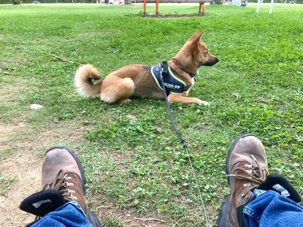 週末にしか来れない公園で「帰らないマン」になるいのちゃん