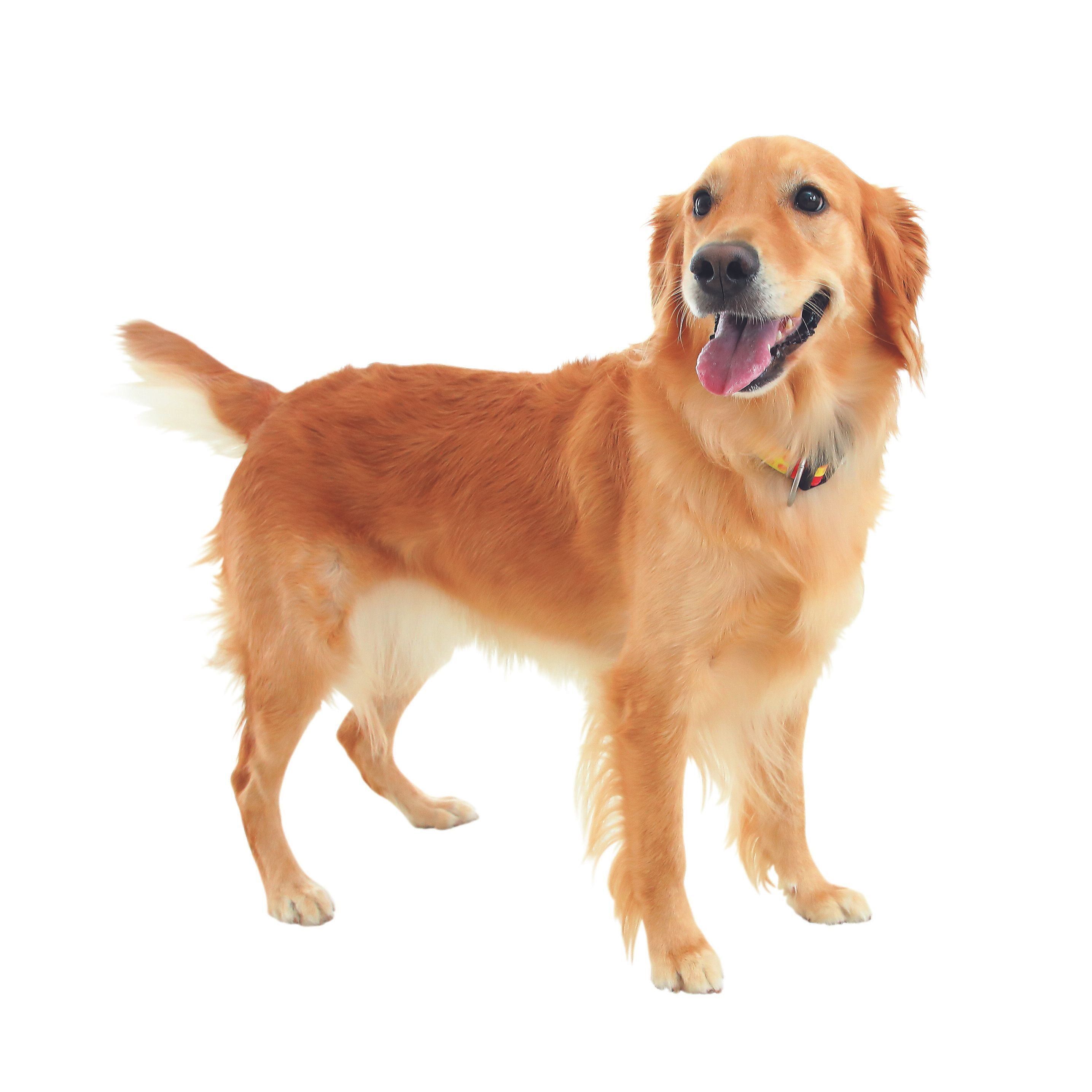 「楽」のときは目がキラキラ