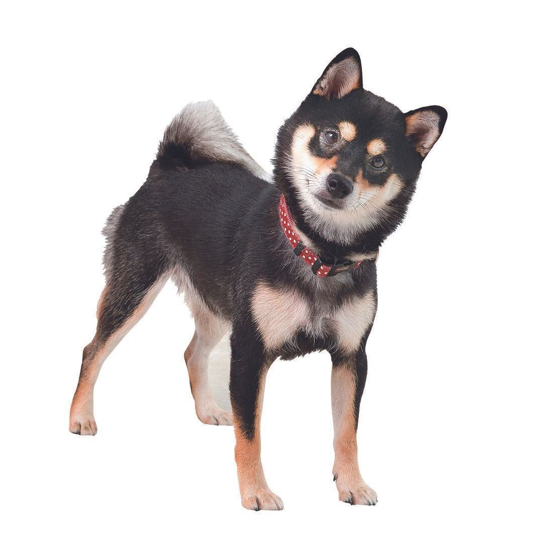 読者の疑問に答えます