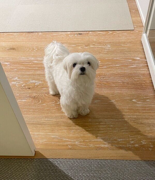 2才になってたくましさがアップ？