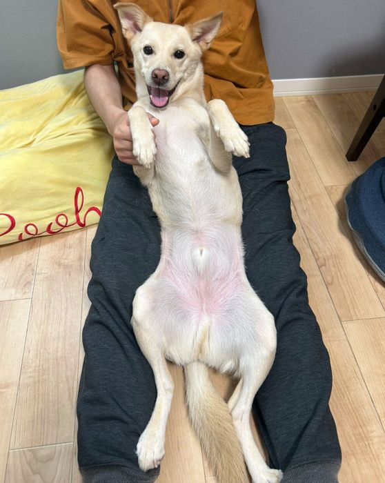 笑顔が可愛いみらいくん