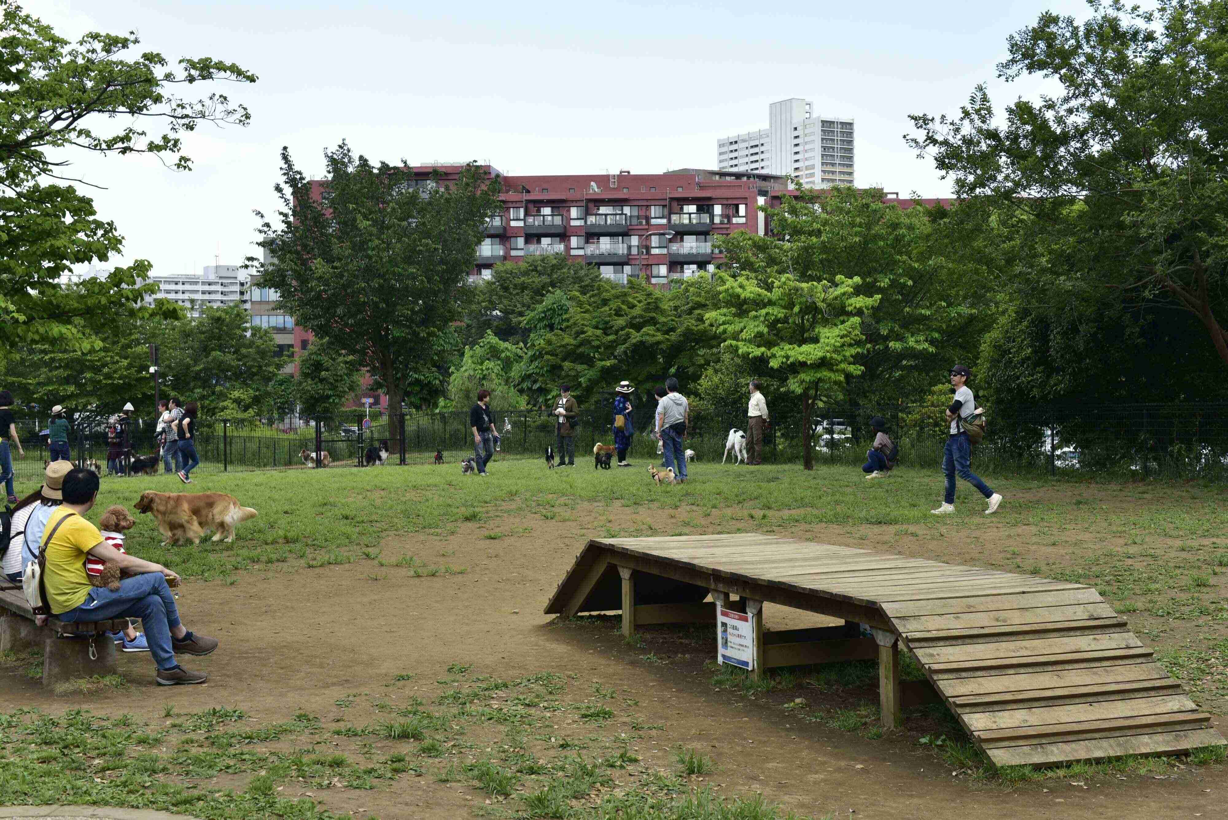 スロープが設置されたドッグラン