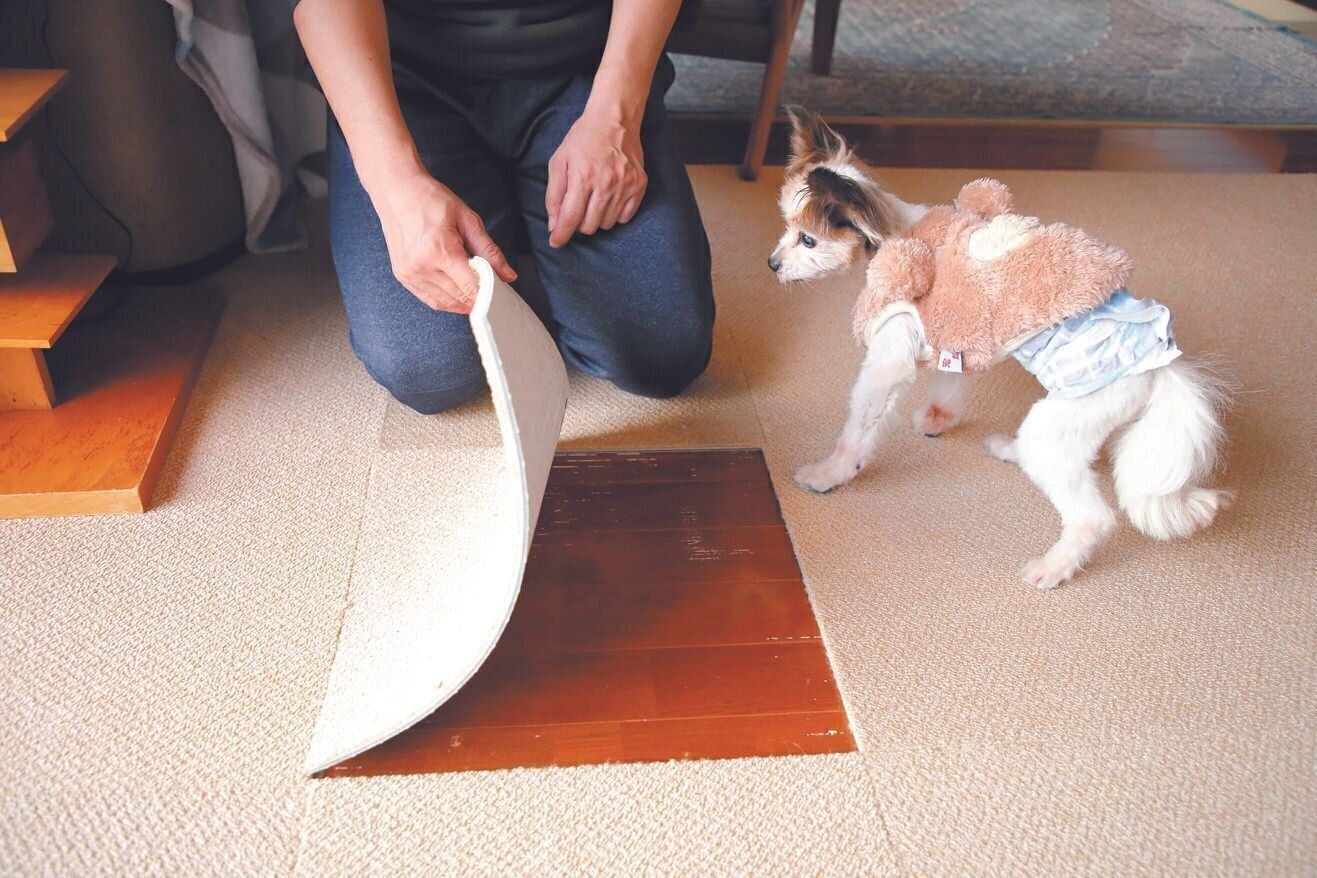 トイレの失敗があるので、小型のタイルカーペットを敷き、すぐに洗えるようにする