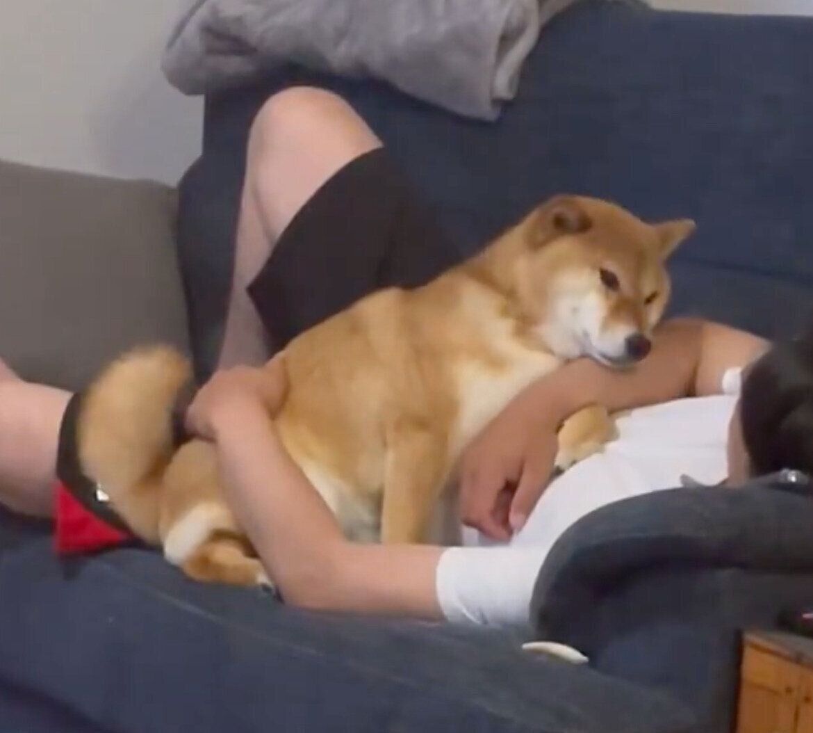 デレるおだしくん