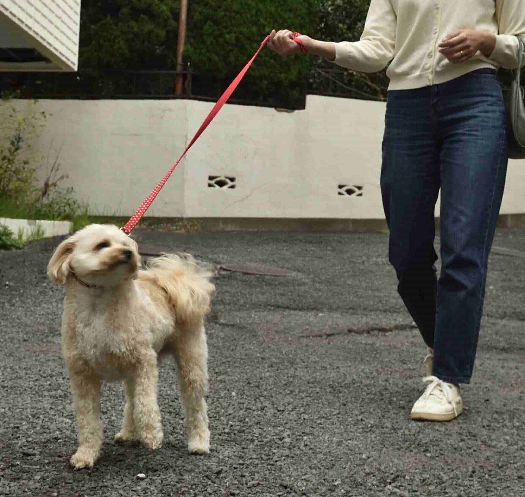 撮影／佐藤正之