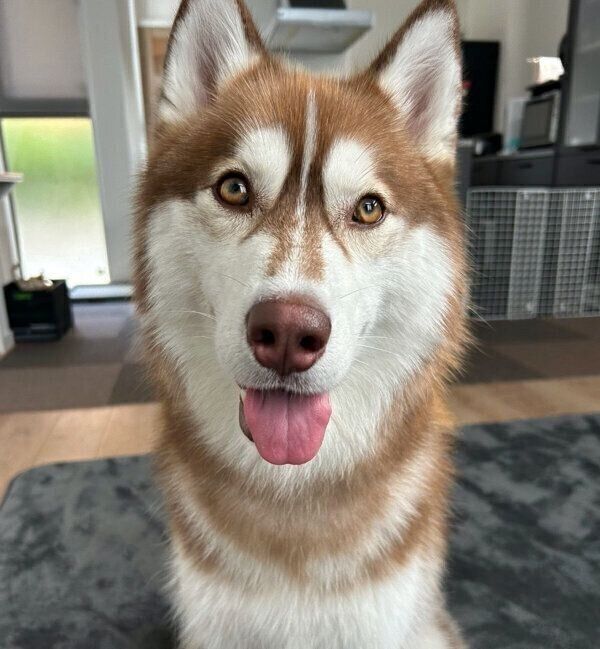 笑顔が可愛いレムちゃん