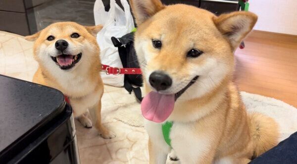 笑顔が可愛い富くん、福ちゃん