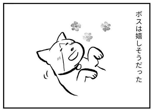 『たまさんちのホゴイヌ』　CHAPTER1 ボス