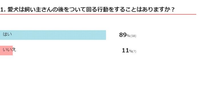 愛犬は飼い主さんの後をついて回る行動をすることはありますか?