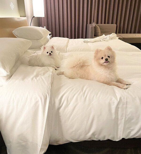 同じようなポーズをするころすけくんとぺこちゃん