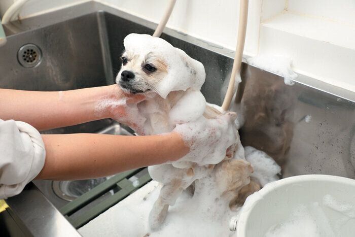 しっかりと泡立ててクレンジングを